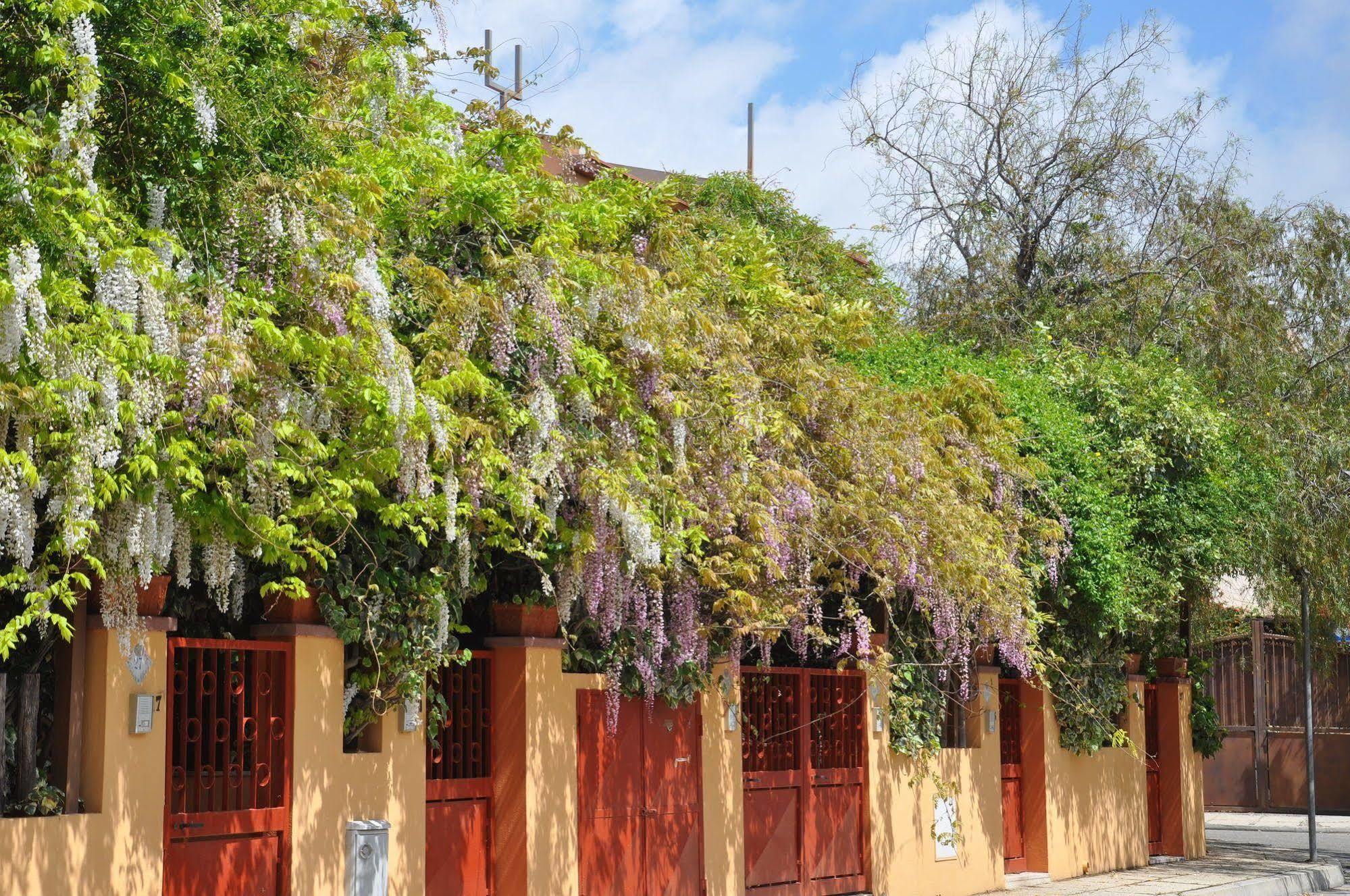 Aparthotel Residenza Le Due Palme Villasimius Exteriér fotografie